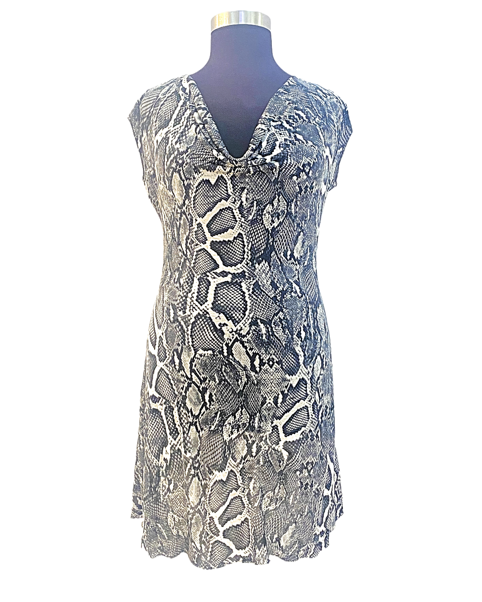Snakeskin Fit&Flare